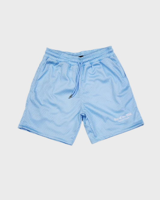 Light Blue Mesh Shorts